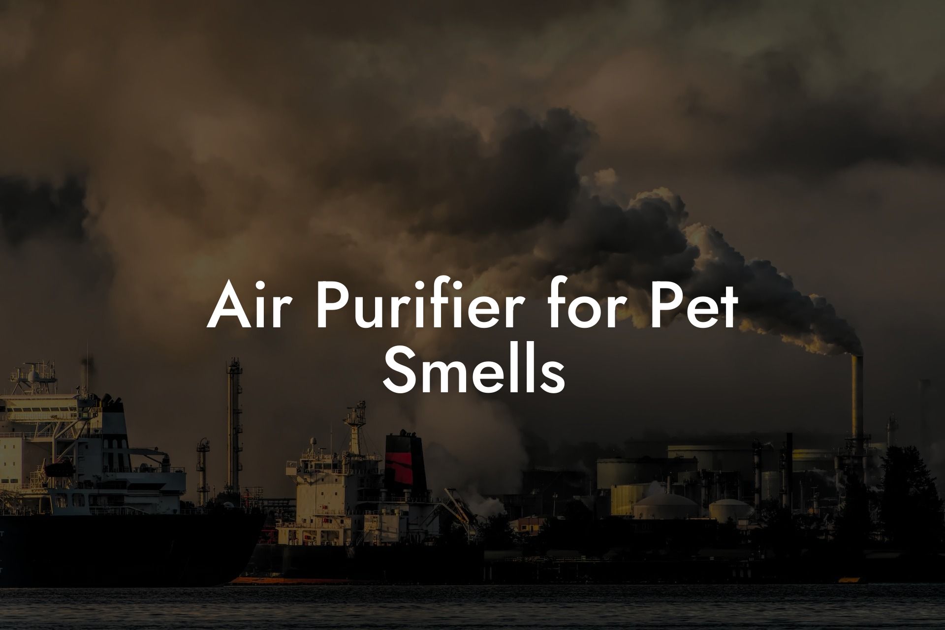 Air Purifier for Pet Smells