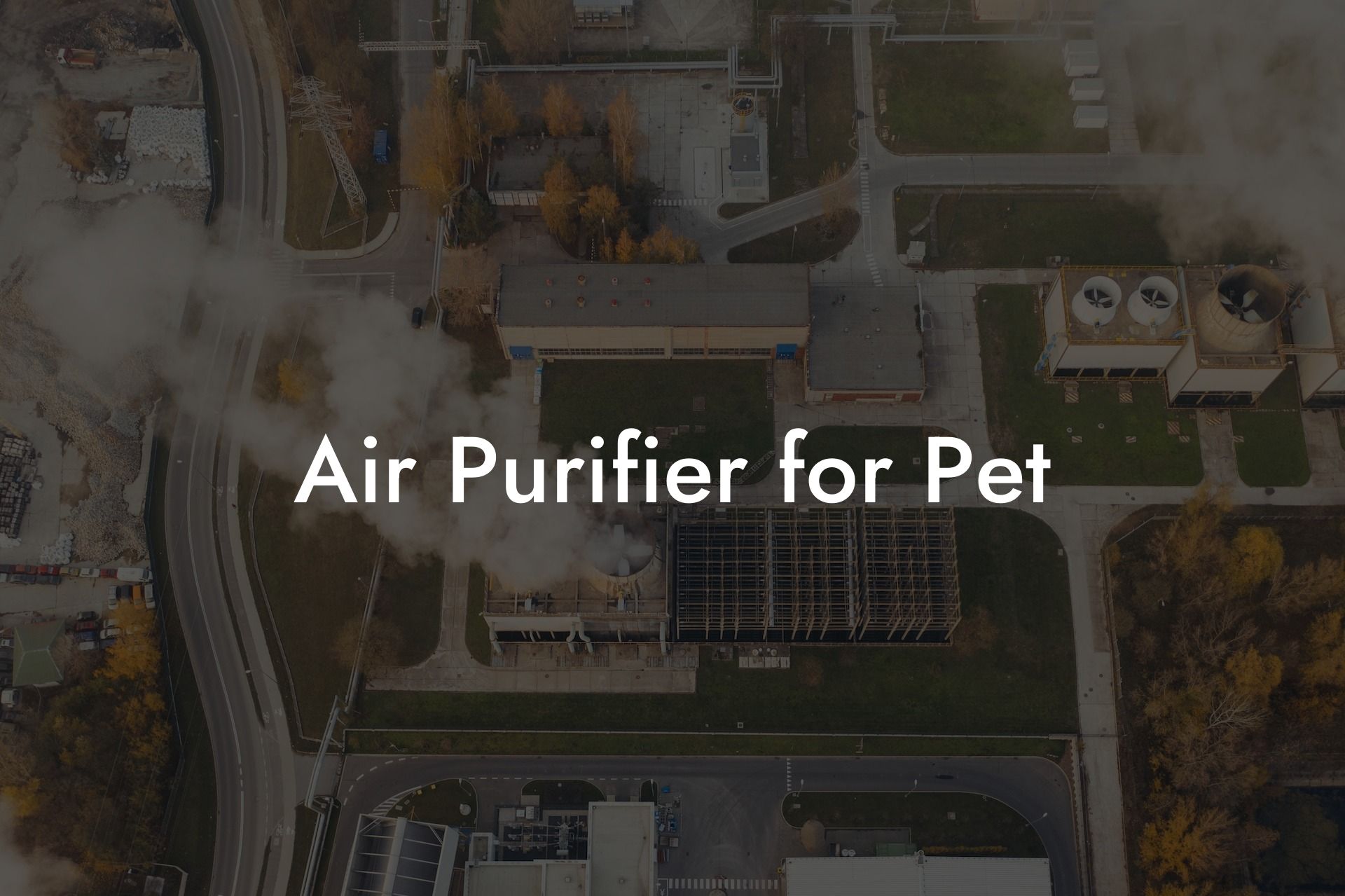 Air Purifier for Pet