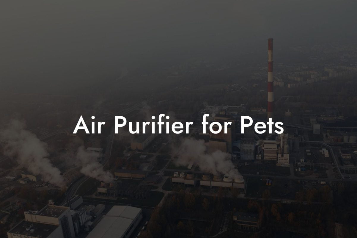 Air Purifier for Pets