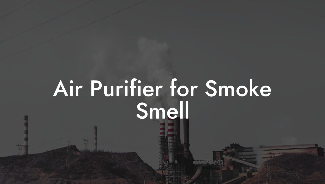 Air Purifier for Smoke Smell