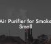 Air Purifier for Smoke Smell