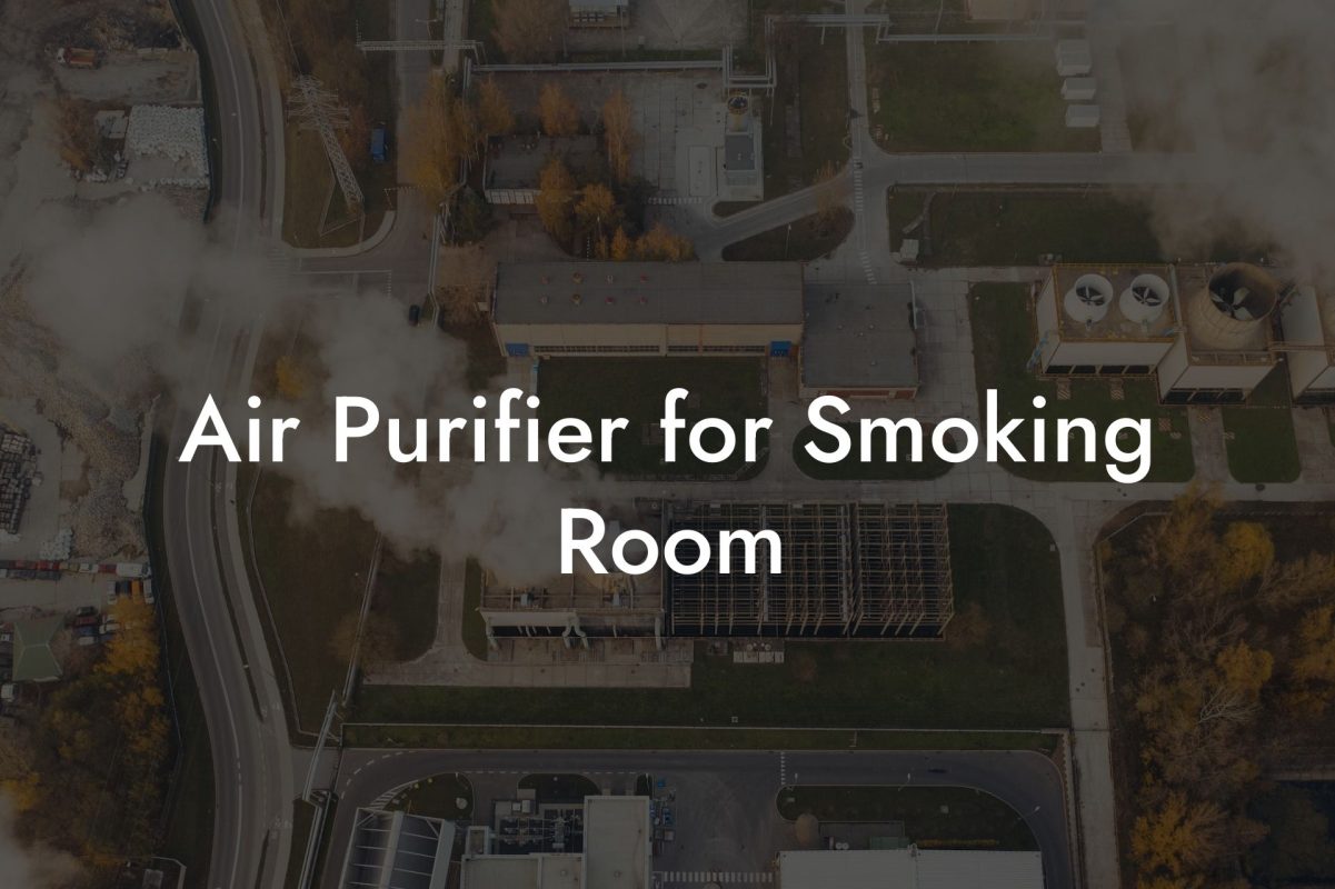 Air Purifier for Smoking Room