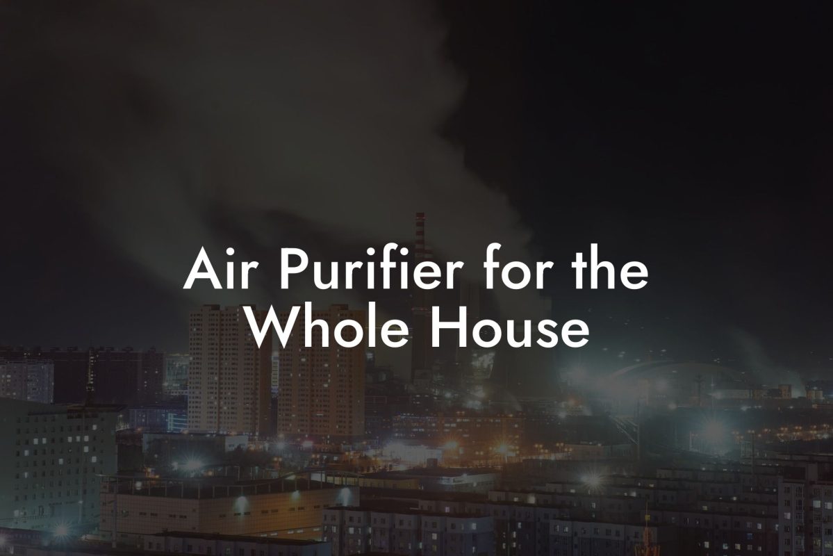 Air Purifier for the Whole House