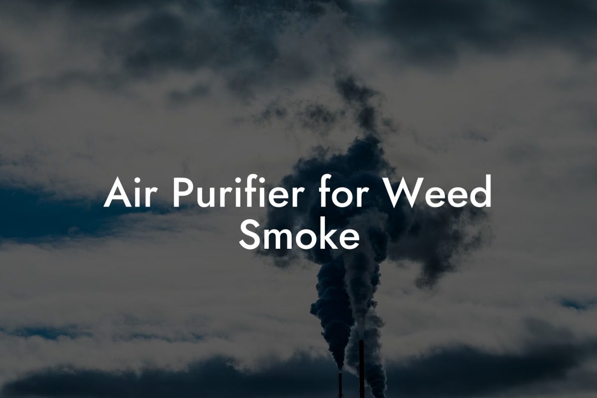 Air Purifier for Weed Smoke