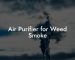 Air Purifier for Weed Smoke