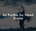 Air Purifier for Weed Smoke