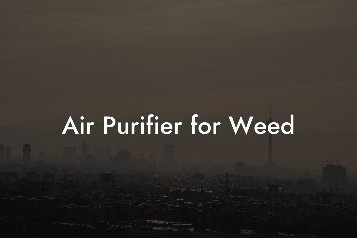 Air Purifier for Weed