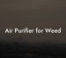 Air Purifier for Weed