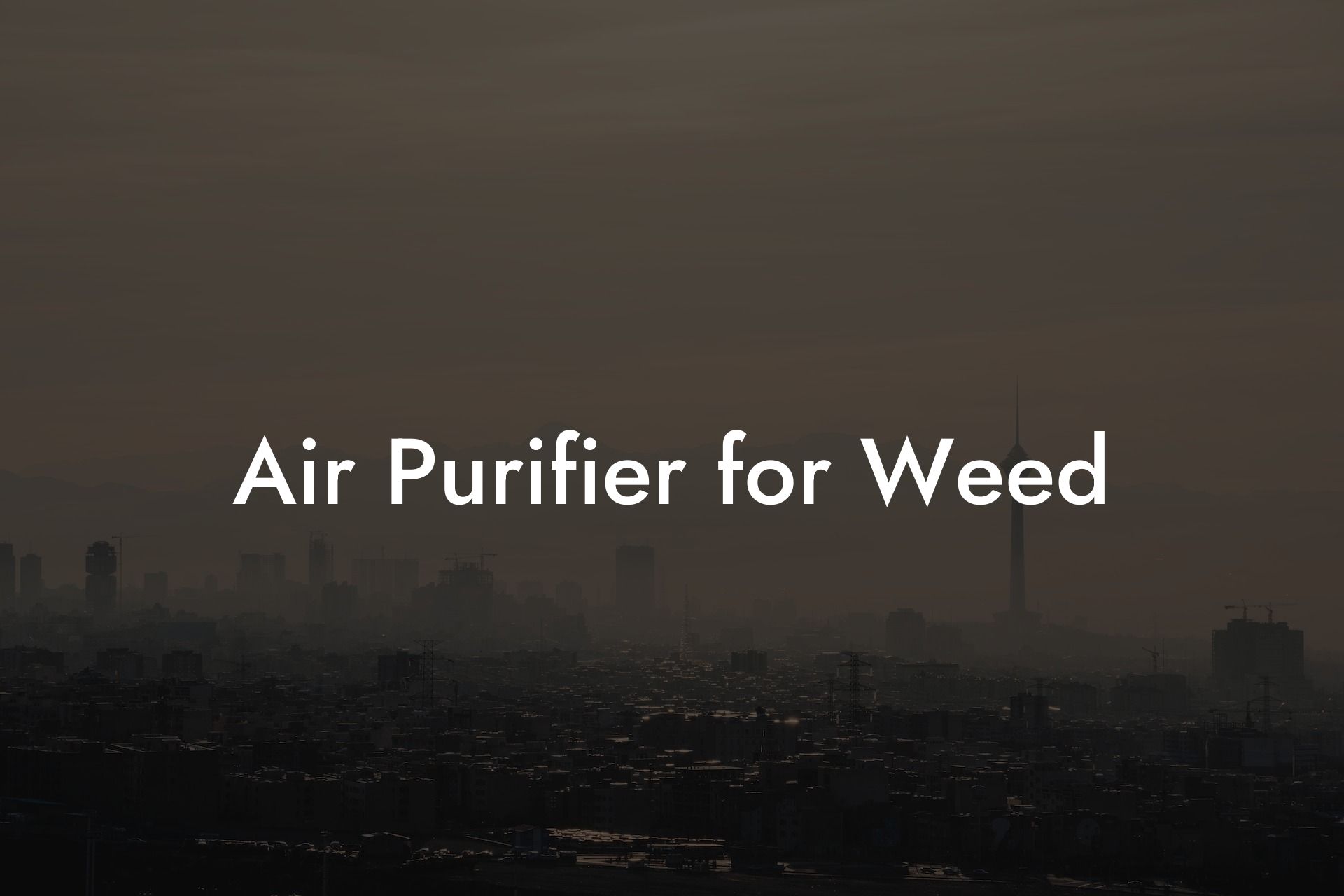 Air Purifier for Weed