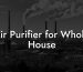 Air Purifier for Whole House