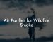 Air Purifier for Wildfire Smoke