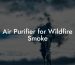 Air Purifier for Wildfire Smoke