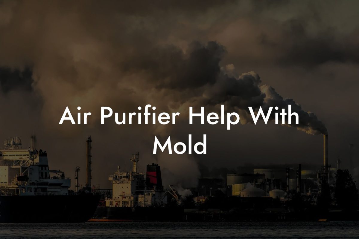 Air Purifier Help With Mold