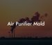 Air Purifier Mold