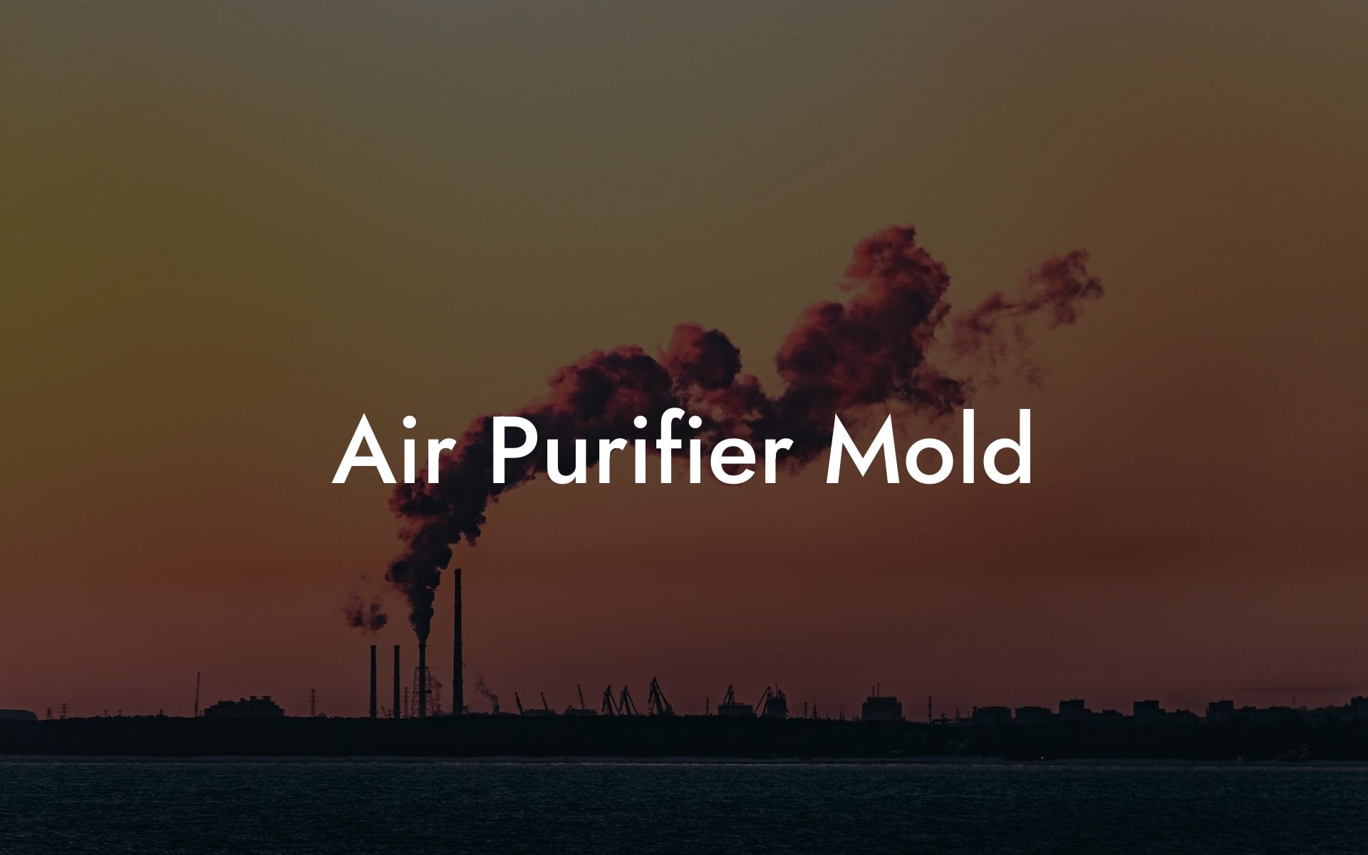 Air Purifier Mold