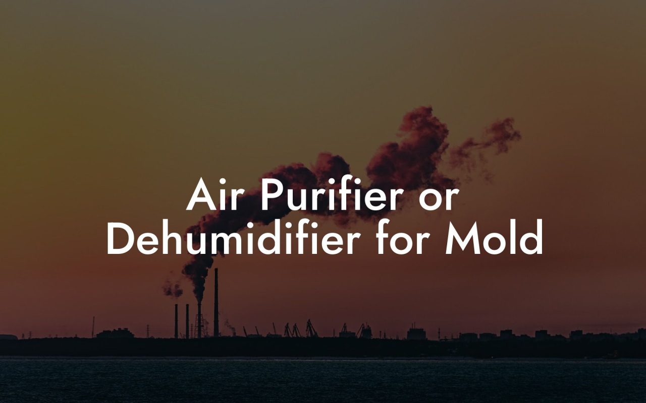 Air Purifier or Dehumidifier for Mold