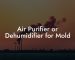 Air Purifier or Dehumidifier for Mold