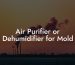 Air Purifier or Dehumidifier for Mold