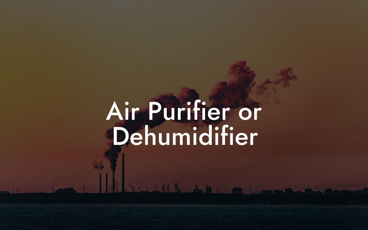 Air Purifier or Dehumidifier