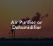 Air Purifier or Dehumidifier