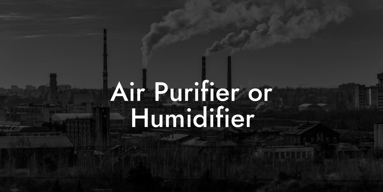 Air Purifier or Humidifier