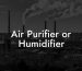 Air Purifier or Humidifier