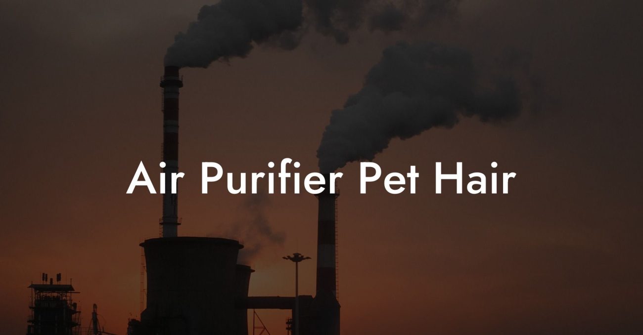 Air Purifier Pet Hair