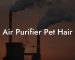 Air Purifier Pet Hair