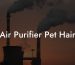 Air Purifier Pet Hair