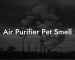 Air Purifier Pet Smell