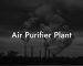 Air Purifier Plant