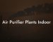 Air Purifier Plants Indoor