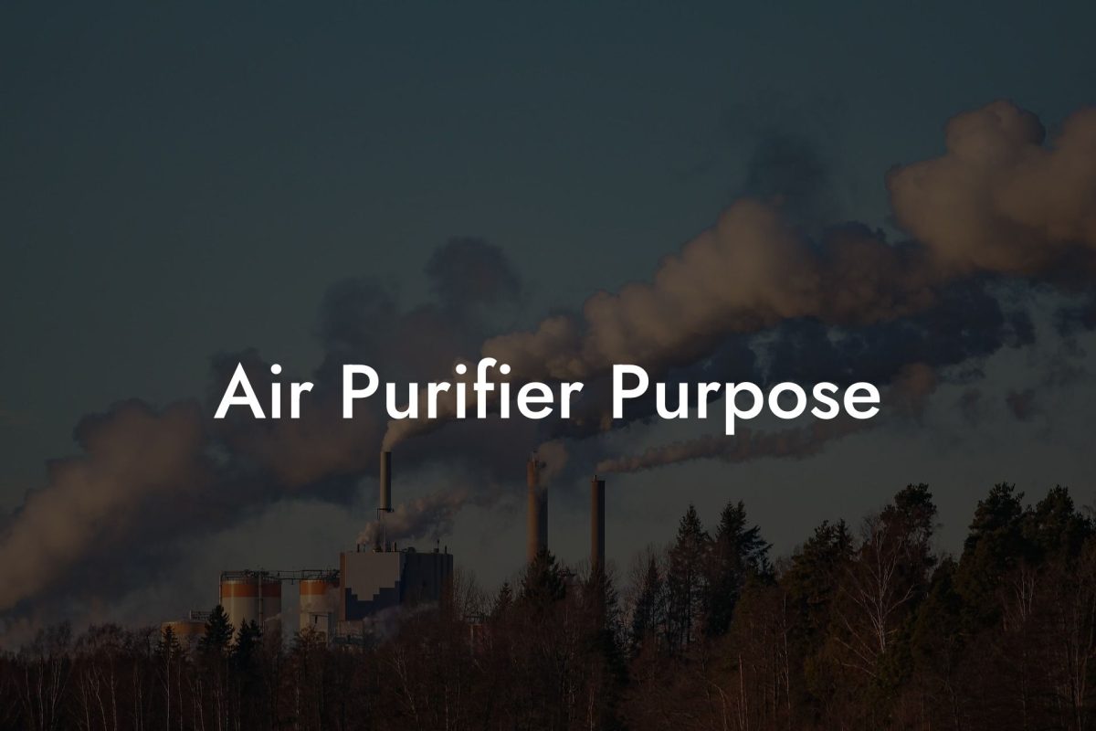 Air Purifier Purpose