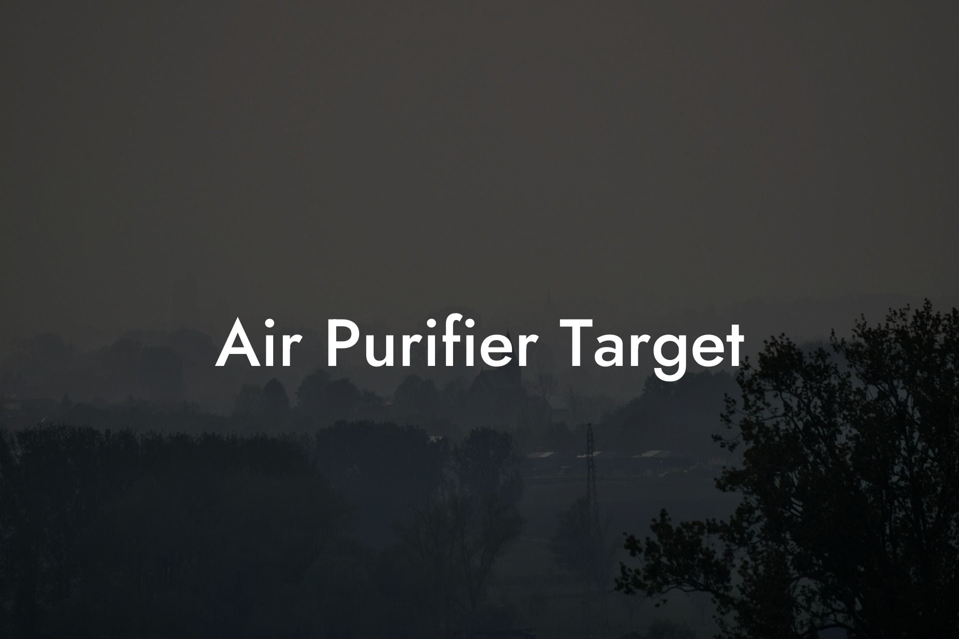 Air Purifier Target