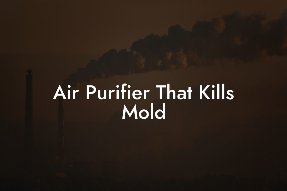 Air Purifier That Kills Mold