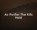 Air Purifier That Kills Mold