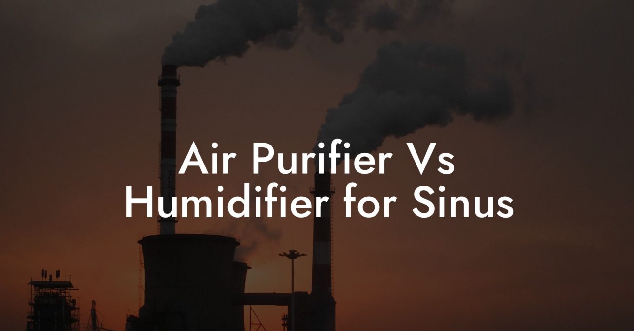 Air Purifier Vs Humidifier for Sinus