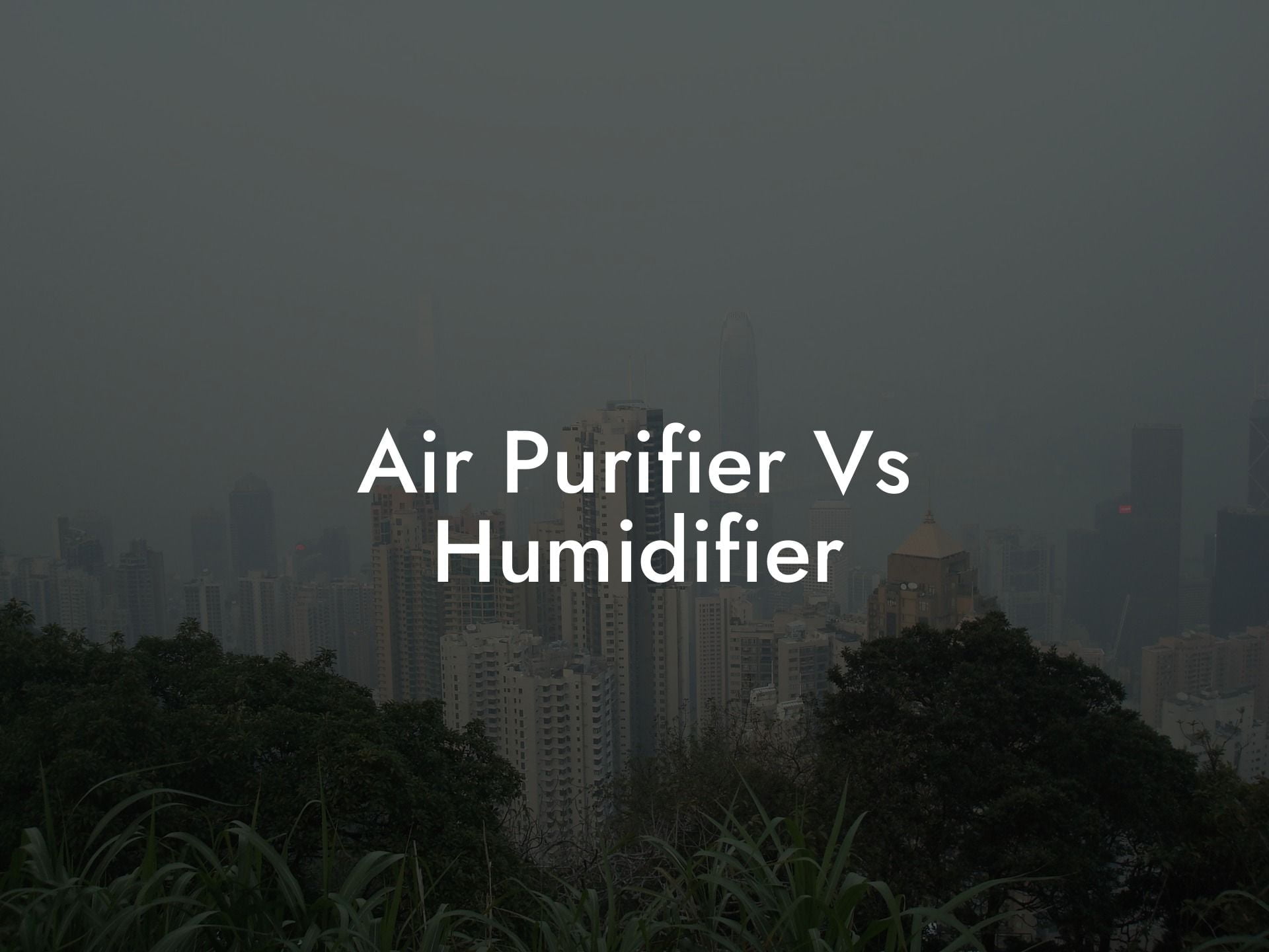 Air Purifier Vs Humidifier