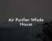 Air Purifier Whole House