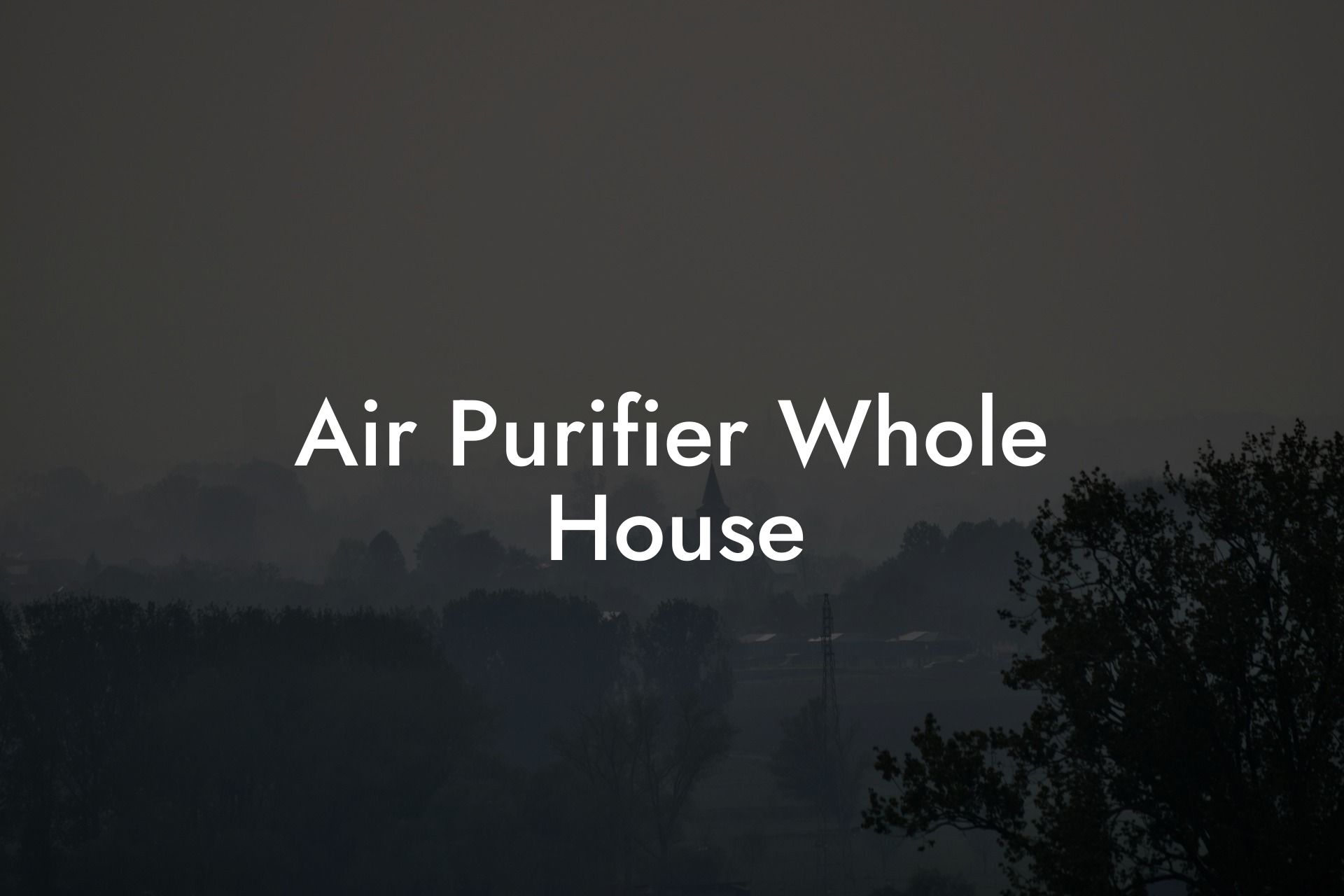 Air Purifier Whole House