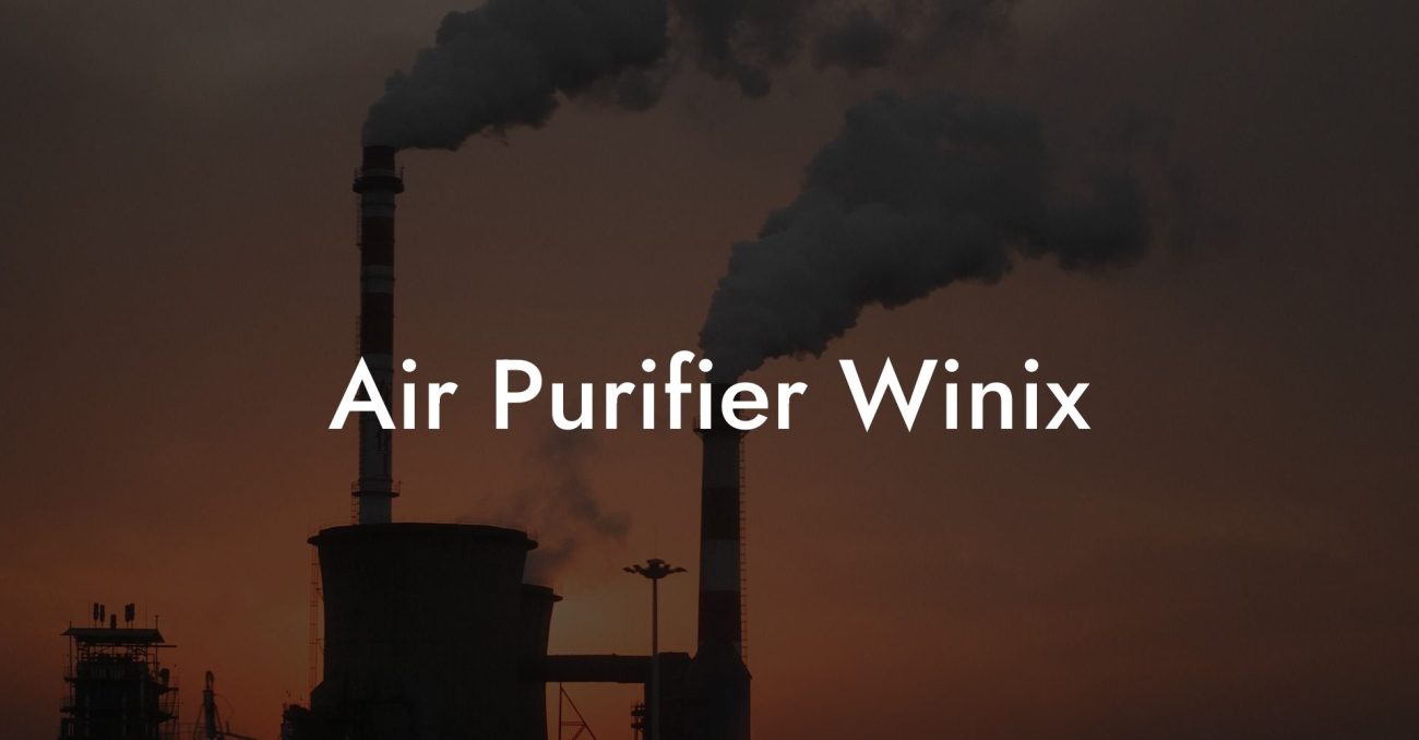 Air Purifier Winix