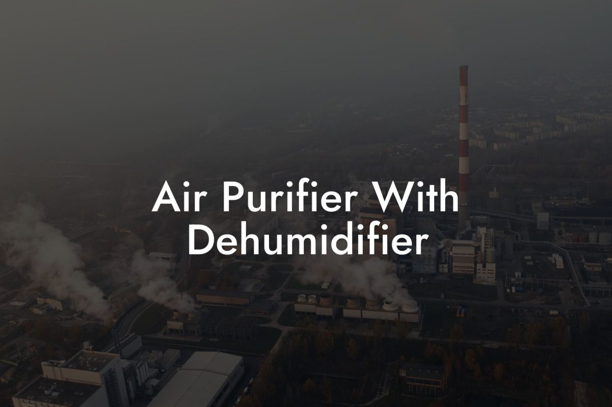 Air Purifier With Dehumidifier