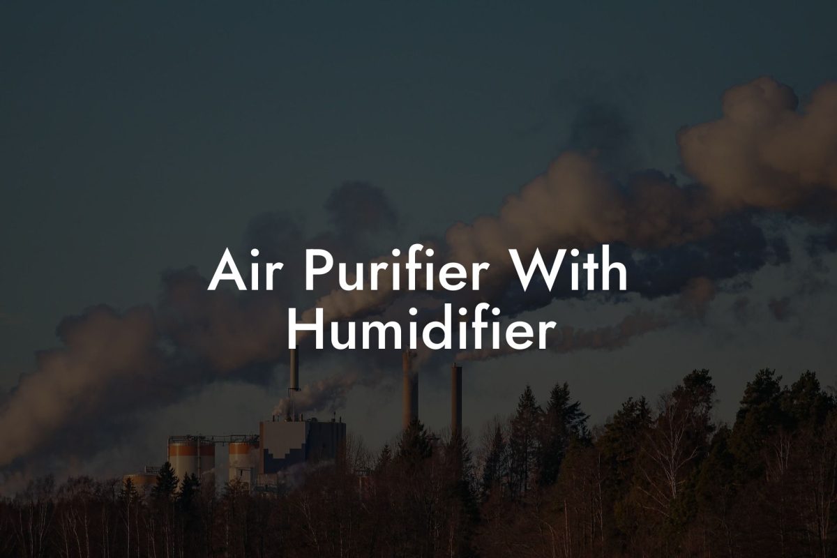 Air Purifier With Humidifier