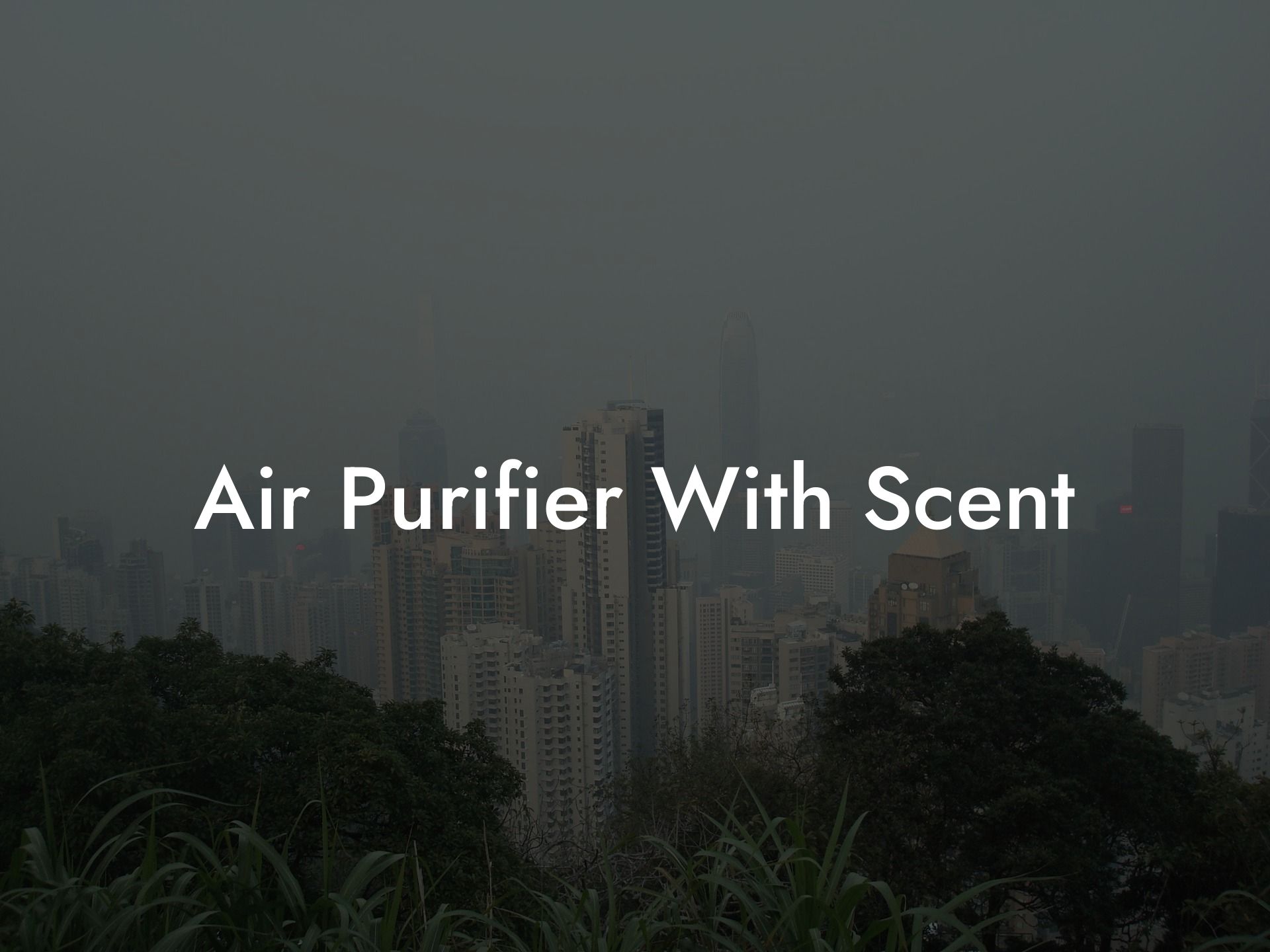 Air Purifier With Scent