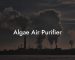 Algae Air Purifier