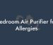 Bedroom Air Purifier for Allergies