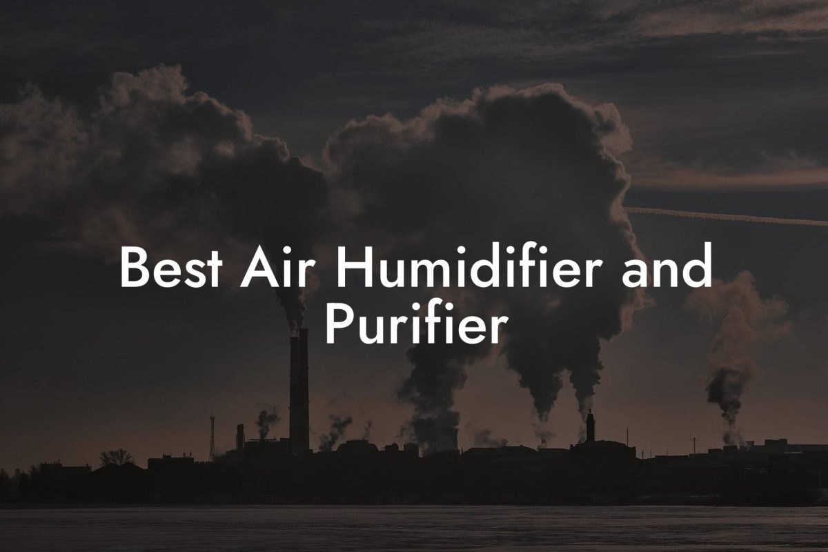 Best Air Humidifier and Purifier