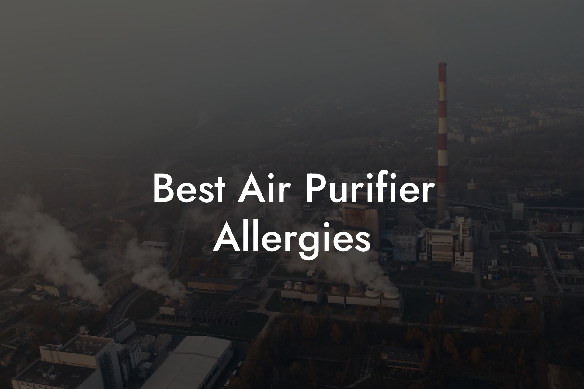 Best Air Purifier Allergies