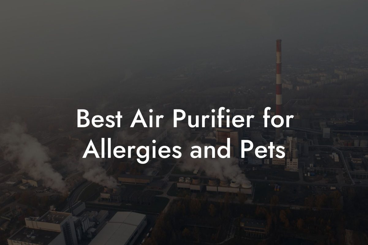 Best Air Purifier for Allergies and Pets