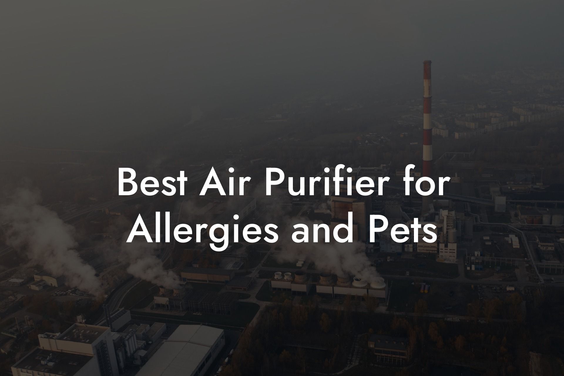 Best Air Purifier for Allergies and Pets